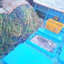 더불어참 이미지