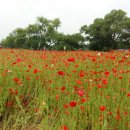 국토보상 행정사 사무소 이미지