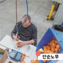 두레인력 이미지