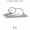 개맛도리 이미지