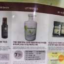 친환경엘샤론머리염색