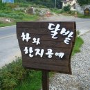 달밭카페