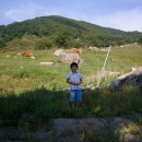 소백산청정한우 이미지