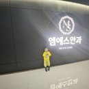 엠에스안과 이미지