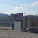 용용골동품 네이버블로그
