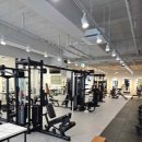 나이스짐 이미지