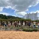 🧑🏻‍🌾쁘띠텃밭-땅콩을 수확해요!🥜 이미지