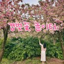 완산-157 이미지