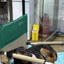 경산생활체육공원 이미지