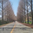 덕과면 용산마을 이미지