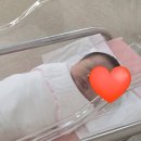 Dr.남동물병원 | [장스여성 병원] 제왕절개 3일차 후기/타임라인/진통제/마사지