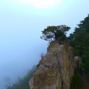 화개지맥.화왕지맥 85km(묶음일주) 봄의 왈츠 그리고 아쉬움 이미지