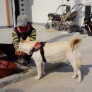 효리 경로당 이미지