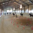 승마장 이미지