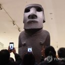 모아이 이미지