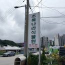 선물나라 | 원주꽃집 원주꽃배 집들이 선물 추천 관설동 초록나라식물원 화분 구매 후기