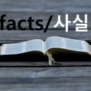 법률사무소늘품 이미지