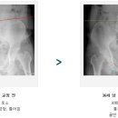세란가정의원 이미지