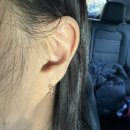 기성 비소 제11호 | [디디에두보] 미스 두 랩 다이아몬드 골드 귀걸이 구매 후기