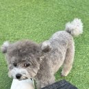 블루멍S 이미지