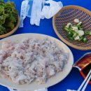 오대산 곤드레밥 이미지