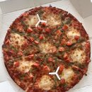 빨간모자피자 | 일산 백마역 빨간모자피자 마르게리따L 피자 맛집 후기