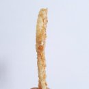 김복동「가을」 이미지