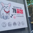 개꿀잼 애견카페 이미지