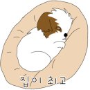 느낌 풀빌라 이미지