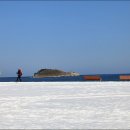 호수와 소나무 이미지