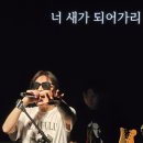 김종서 단독콘서트 이미지
