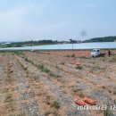 성동보건진료소 이미지