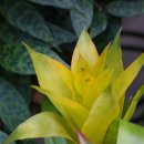 색연필드로잉 이미지