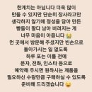 빵실빵실 | 가성비 넘치는 양주 옥정 동네 빵집 빵실빵실