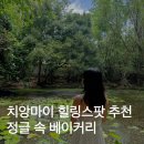 치앙마이 주말마켓 나나정글 베이커리 숲속 빵집 후기
