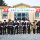 평창백덕산더덕 이미지