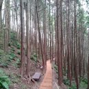 구덕문화공원 이미지