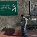 공동해물구역 | 도쿄 없는 도쿄 여행 3박 4일 후기