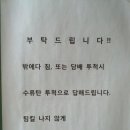 네티즌PC방 이미지