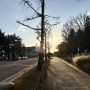 북카페에코의서재 | [여의도] 한강뷰 맛집, 국회의사당 북카페 강변서재