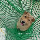 비래동 금성백조(102동) 이미지