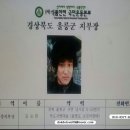 낭만오징어 이미지