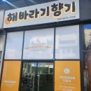 해바라기 손세차 이미지