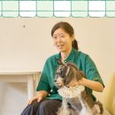 오늘도 이쁘개 이미지