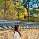 프리마루체 건너편 이미지