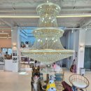 삼육사로11 | 동두천 애견카페 대형견의 천국ㅣ소르피아97