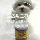 티니홈 | 강아지 노즈워크 간식 가수분해 펫러닝 티니큐브 급여후기