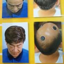제천가발 이미지