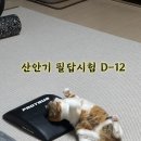 산업안전산업기사 실기 필답형 ㅣ 2022년 1회 기출문제 복습(DAY7) + 암기노트 총정리