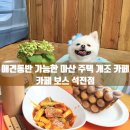 석전동248 | 애견동반 가능한 창원 마산 주택 개조 카페 ｜ 카페 보스 석전점 (내돈내산 재방문 후기)